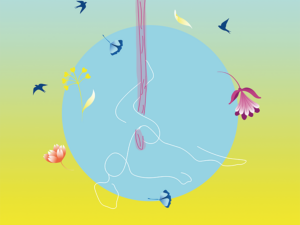 Aerial Acrobatics