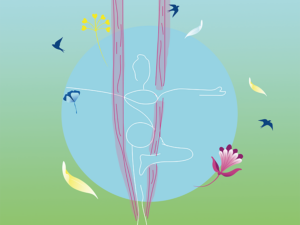 Aerial Yoga – Asana 2