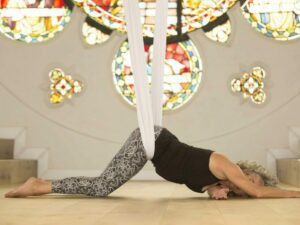 Aerial Yin 50-uurs Training