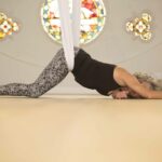 Aerial Yin Yoga Meridians | Follow up training