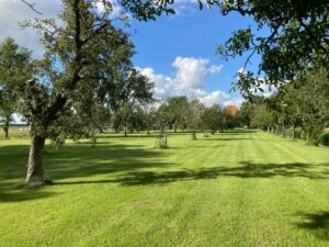 Aerial Farm Retreat - Afbeelding 5